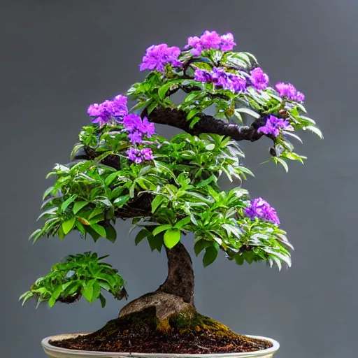 Image similar to a single flower, white and violet bonsai lily