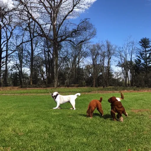 Prompt: a dog’s eye view of the dog park