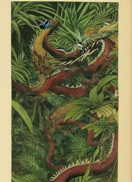 Image similar to vintage chinese dragon in a tropical forest, john james audubon, intaglio, sharp focus