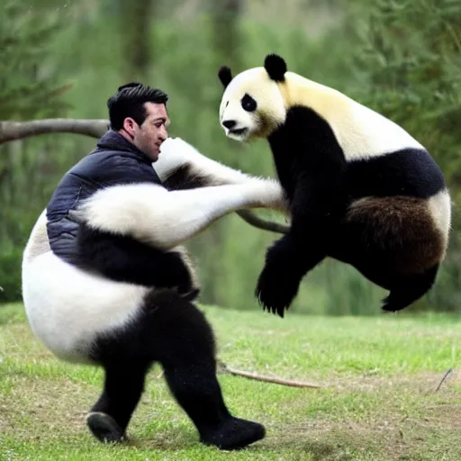 Prompt: An attractive French man kicked in the face by a panda