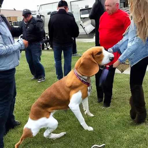 Prompt: beagle getting into fist fight with trump supporter