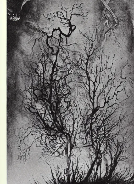 Image similar to book cover of scary stories to tell in the dark paperback novel by stephen gammell