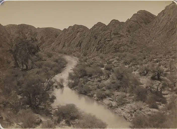 Prompt: View of the Gila river, surrounded by lush desert vegetation and rocky slopes, albumen silver print, Smithsonian American Art Museum