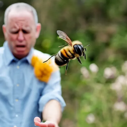 Image similar to a photo of a man arguing with a bee, the man is losing