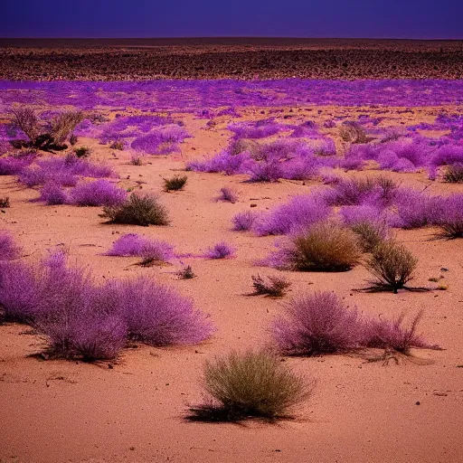Prompt: oasis made or purple light in desert