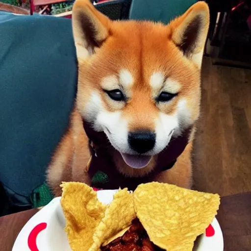 Image similar to shiba inu eating taco