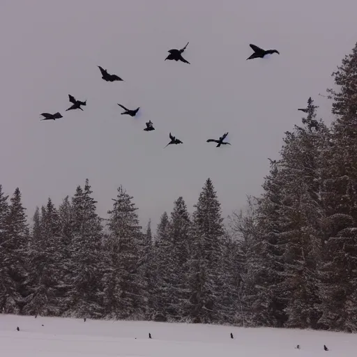 Prompt: Flock of crows spanning across a boreal forest winter sky - n 4