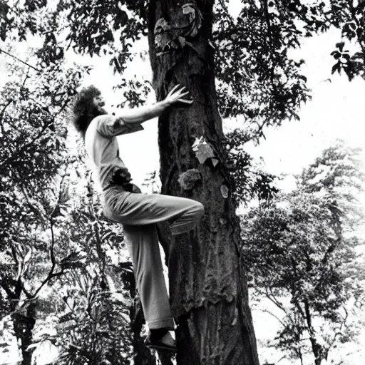 Image similar to steve hillage climbing a tree