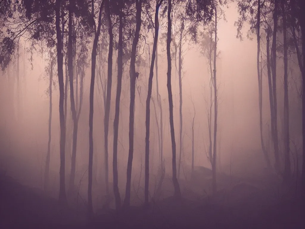 Prompt: “photography of forest fire , fog, night, mood, atmospheric, full of colour, digital photography”