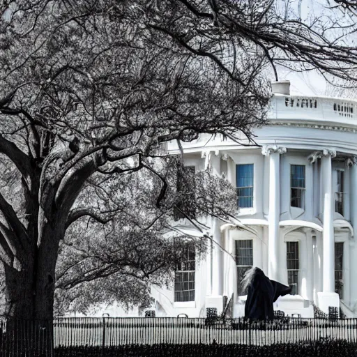 Image similar to gandalf attacks the white house, ( eos 5 ds r, iso 1 0 0, f / 8, 1 / 1 2 5, 8 4 mm, postprocessed, crisp face, facial features )