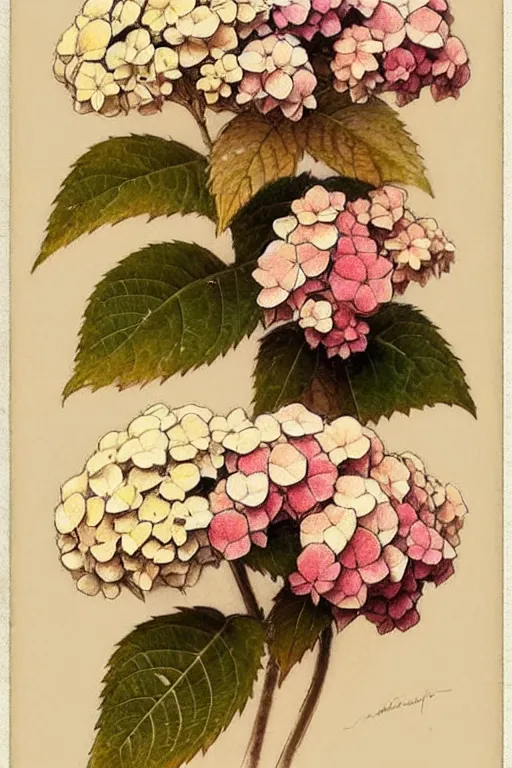 Prompt: ( ( ( ( ( 1 9 5 0 s retro hydrangea. muted colors. ) ) ) ) ) by jean - baptiste monge!!!!!!!!!!!!!!!!!!!!!!!!!!!!!!