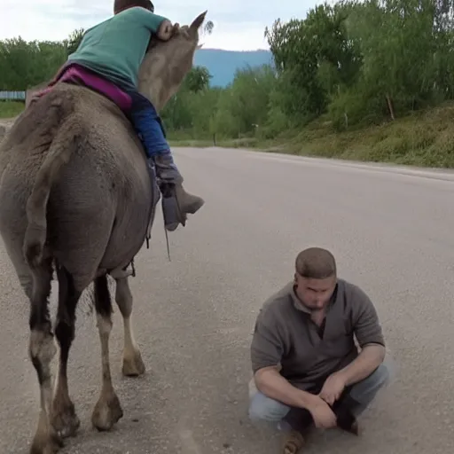 Prompt: dashcam footage of a gopnic slavsquatting on a donkey, eastern european, 4 k, 1 6 k, 8 k, hd, high resolution