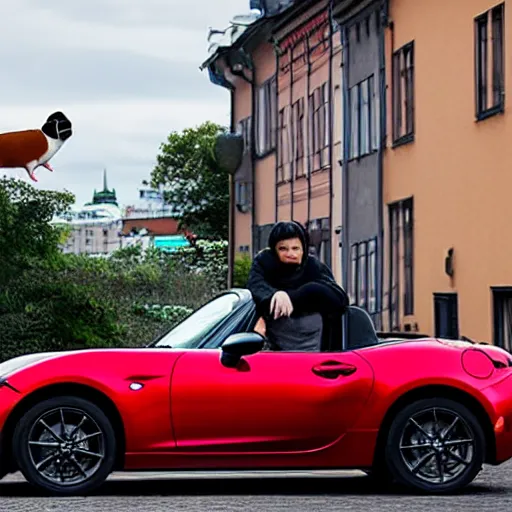 Prompt: a photograph of a guinea pig sitting on the hood of a red mazda mx-5, standing on a road in Stockholm