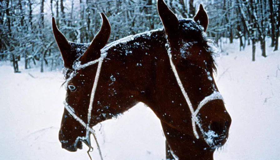 Image similar to 1 9 6 0 s movie still close up of marcus aurelius frozen to death under the snow, a horse frozen under the snow by the side of a river with gravel, pine forests, cinestill 8 0 0 t 3 5 mm, high quality, heavy grain, high detail, texture, dramatic light, anamorphic, hyperrealistic, detailed hair, foggy