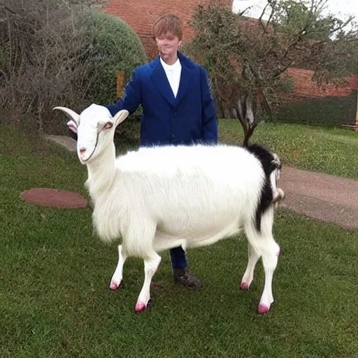 Image similar to a person in a goat costume, craigslist photo