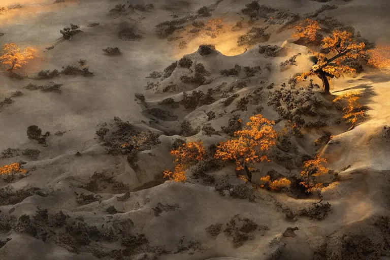 Image similar to high aerial shot, fantasy landscape, sunset lighting ominous shadows, cinematic fantasy painting, dungeons and dragons, barren dry land, desert valley of bones, sand dunes, cracked mud, dry river bed, rock outcroppings, one single autumn maple bonsai, by jessica rossier and brian froud and hr giger