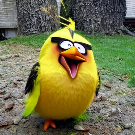 Image similar to angry birds in real life