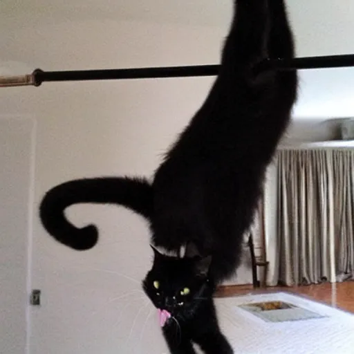 Image similar to black cat doing pole dance