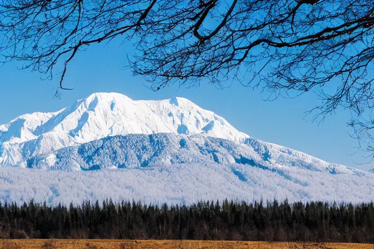 Prompt: long distance photo of snowy mountain range rising from forested plains