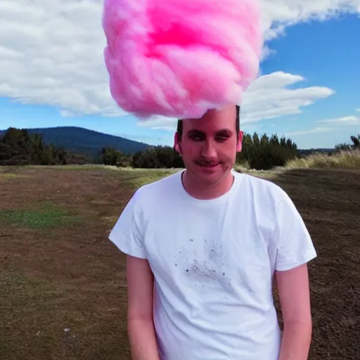 Image similar to pink cotton candy made out of clouds