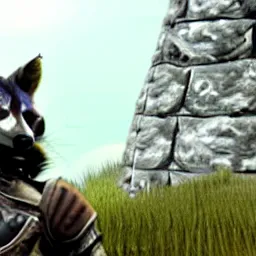 Prompt: a raccoon dragonborn talking to a whiterun guard soldier in skyrim