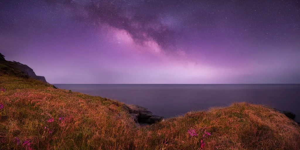 Prompt: Field on the edge of a cliff overlooking the ocean at night by Jessica Rossier, purple color scheme