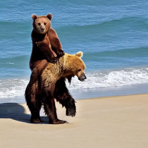 Image similar to jim carrey riding a bear on the beach