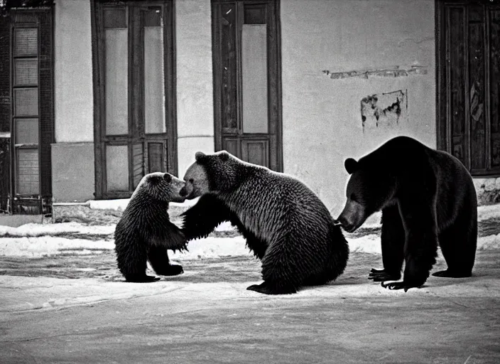 Prompt: gopnik drinking cheap beer with a bear, soviet exterior, symmetrical, cinematic, real photography