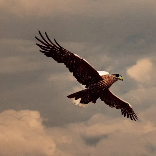 Prompt: turning and turning in the widening gyre, the falcon cannot hear the falconer