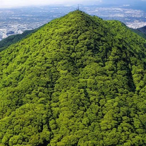 Image similar to Mount Fujiama topography