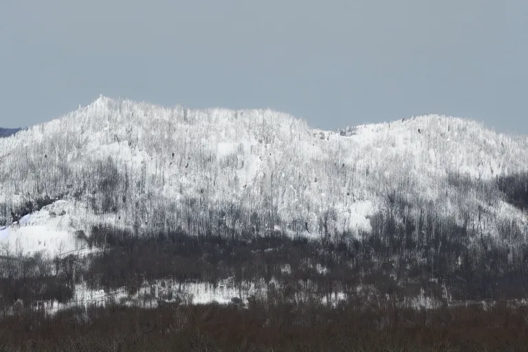 Image similar to long distance photo of snowy shrek range rising from swampy plains