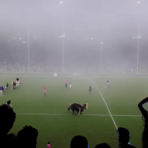 Image similar to dogs invading a soccer stadium while the game was happening, wide shot, phone quality, picture taken from the stadium bleachers, little fog, the soccer players are shocked