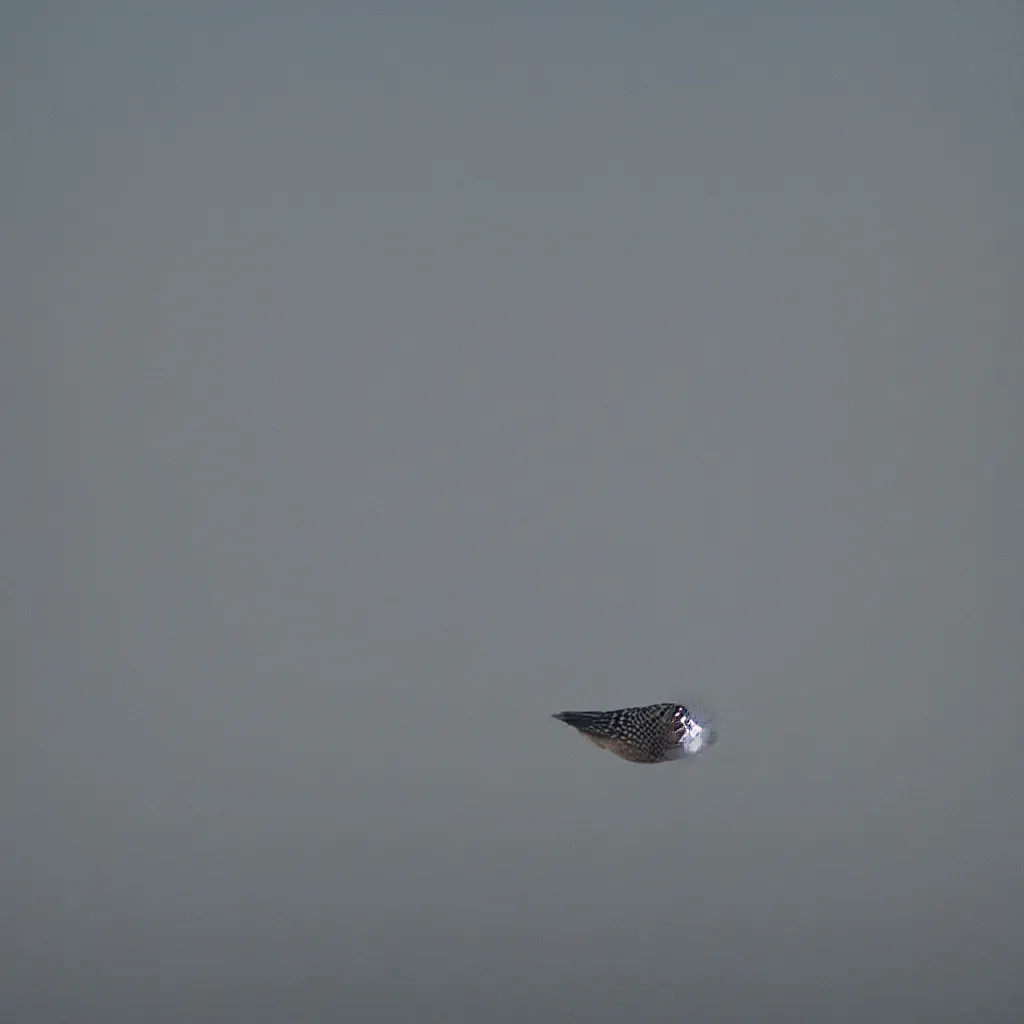 Prompt: starling murmur over a still lake on a foggy morning, light rays, bokeh, beautiful professional photography, 35mm film