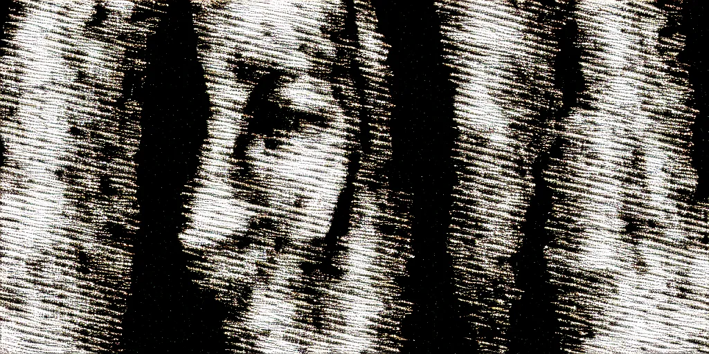 Image similar to vhs static overlay of marian apparition, vhs, 1 9 9 0, highly realistic, highly detailed, vhs noise static, black and white, vhs glitch