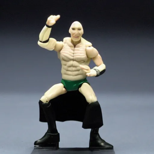 Prompt: voldemort as a wwf hasbro wrestling figure