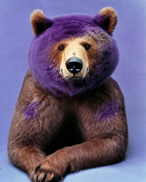 Image similar to a fantastic animal, a mix of a bear and a cat, with purple fur, realistic photo, 1970s