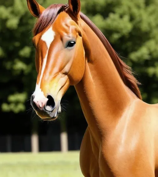 Prompt: a beautiful stuning buckskin horse, good proportion, perfect symetrical