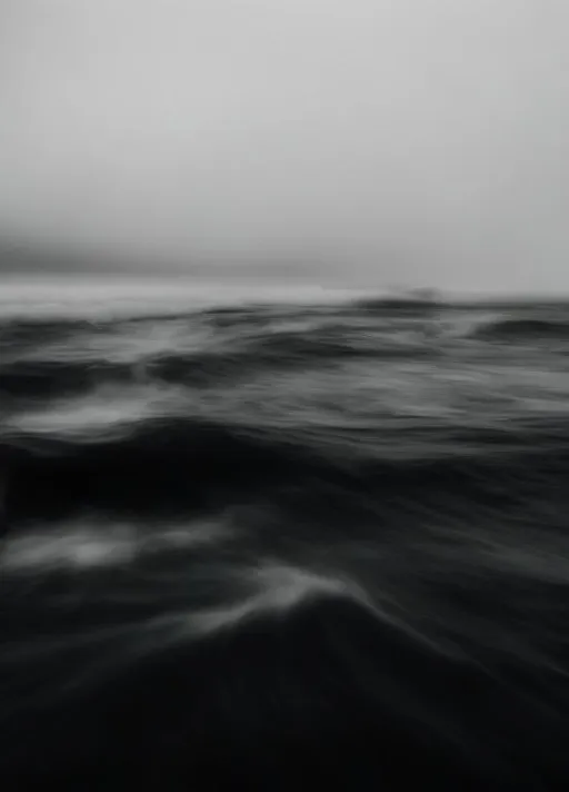 Prompt: Black and white sea 