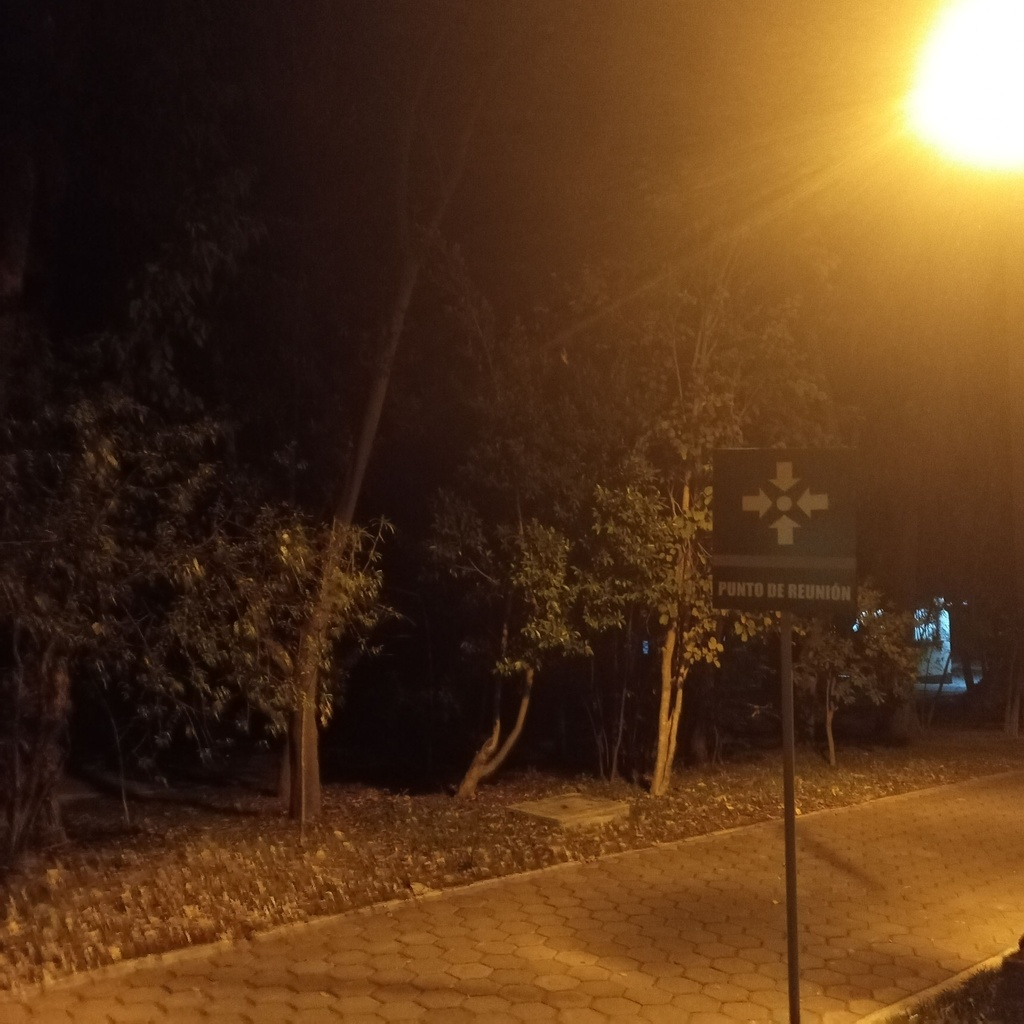 a-beautiful-and-lovely-mediterranean-girl-as-virgin-openart