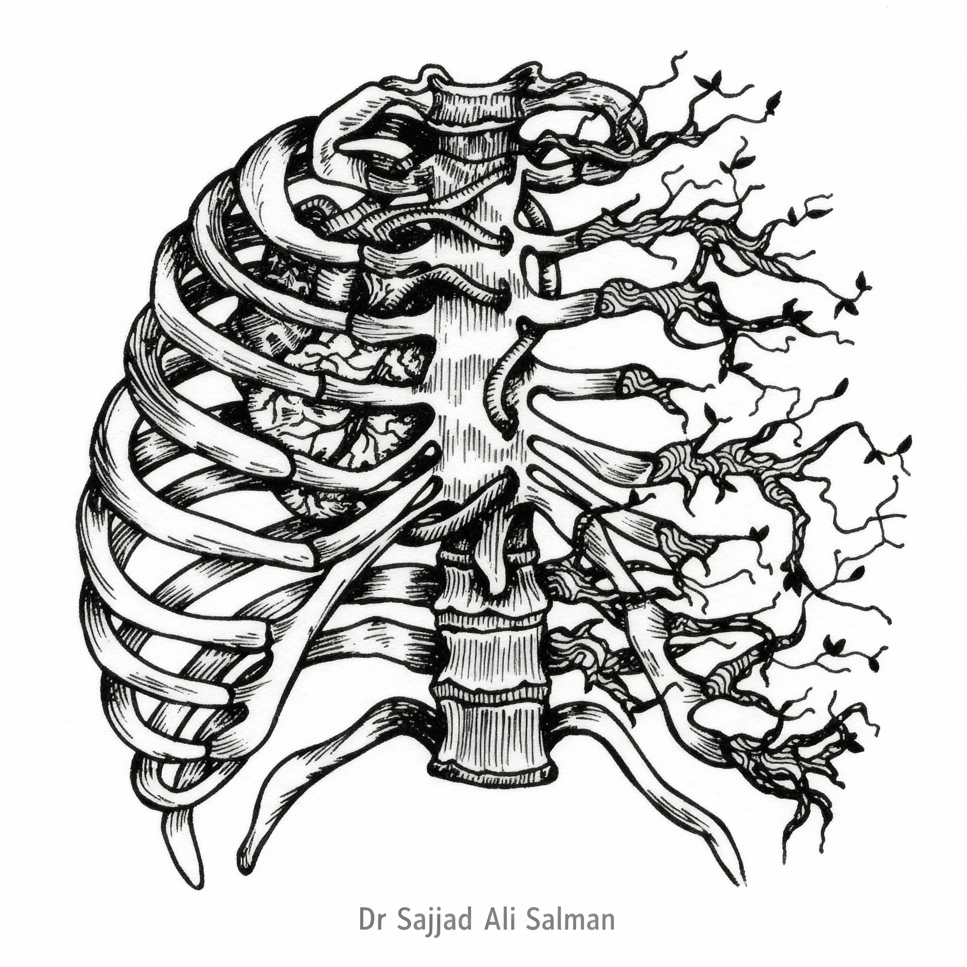 Skeletal Rajib Dr Sajjad Ali Salman
