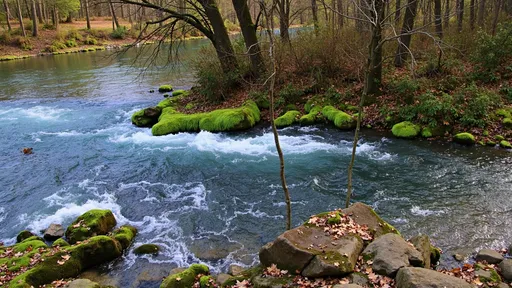 Prompt: In a tranquil scene by a river, vibrant turquoise water cascades energetically over moss-covered rocks, creating swirling white froth as it flows. Framed by lush greenery and speckled with autumn leaves, the landscape captures the essence of a peaceful afternoon, with dappled sunlight filtering through the trees. The rugged shoreline, adorned with stones and soft moss, complements the crystal-clear water, emphasizing nature's vibrant hues. This serene setting evokes a sense of calm and connection to the natural world, inviting quiet contemplation amidst the gentle sounds of flowing water.