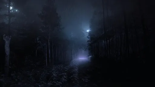Prompt: Night Forest Fog