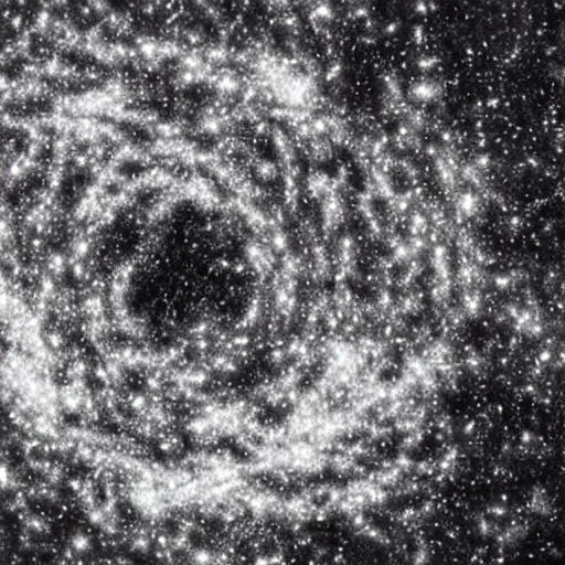 Prompt: Black and White, Detailed Suffocation of Universe
