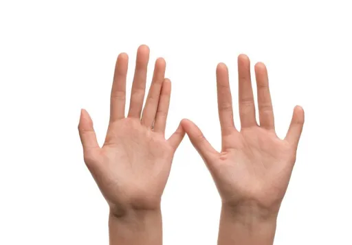 Prompt: Recreate base image. Hands.