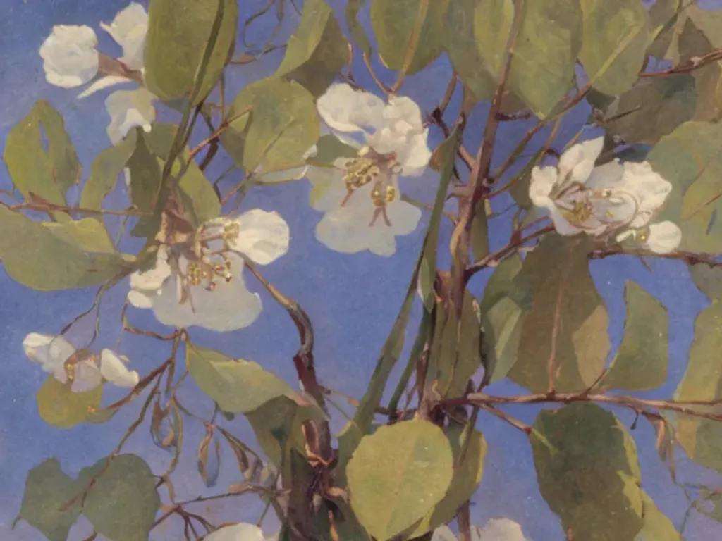 Prompt: An oil painting of eucalyptus blossoms. By [Henry Turner|Ethel Carrick fox]