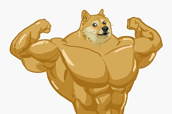 Swole Doge