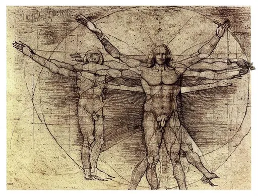 Prompt: Vitruvian man by Leonardo da Vinci  illustration - n 9