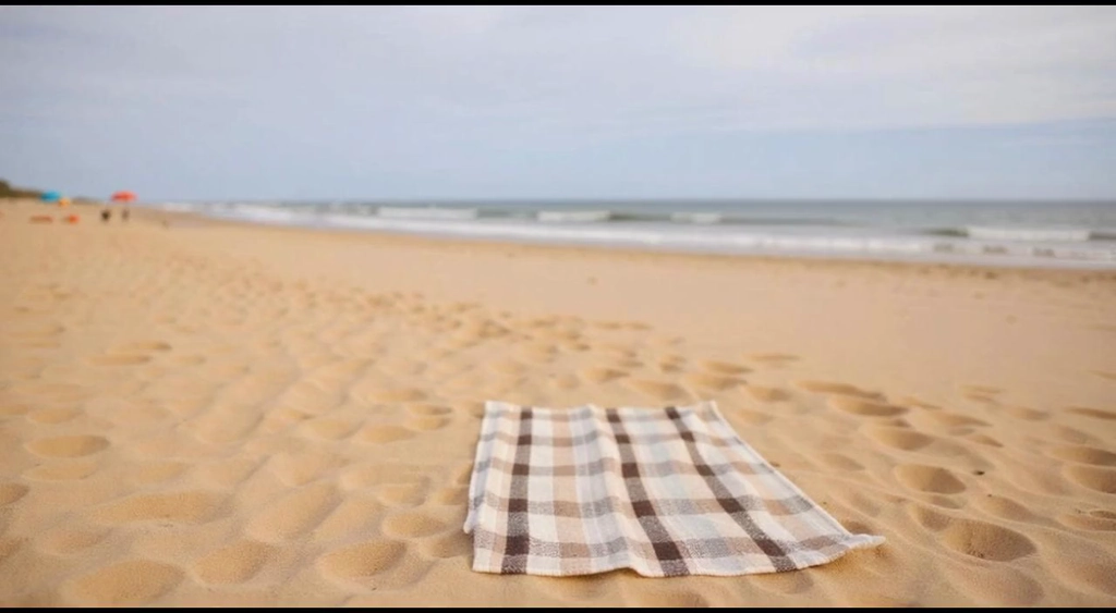 Beach Day Vlog with <<THE_MARKER>>